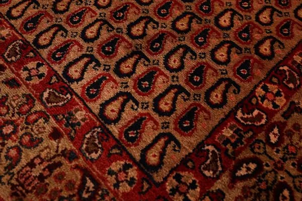 Kordi — Koliayie — view 5 | RUGSOCIETE