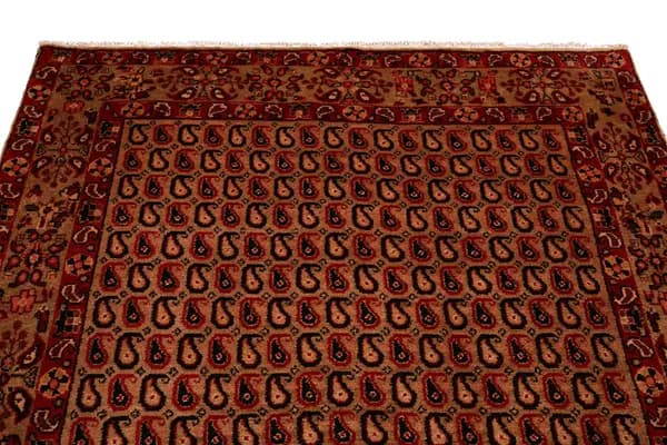 Kordi — Koliayie — view 8 | RUGSOCIETE