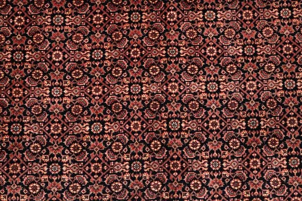 Bidjar — Bidjar exkl.W.S. — view 12 | RUGSOCIETE