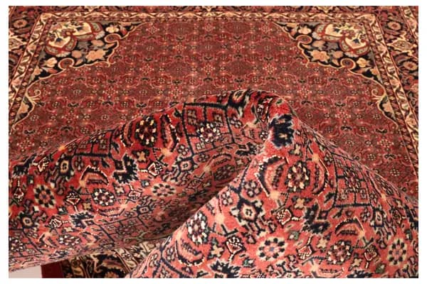 Bidjar — Bidjar exkl.W.S. — view 11 | RUGSOCIETE