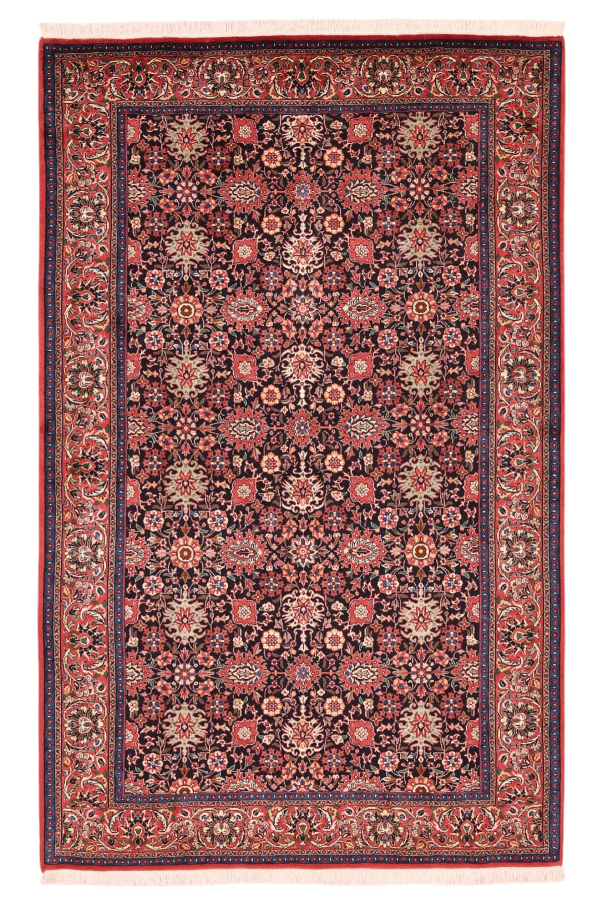 Bidjar — Bidjar exkl.W.S., 208 × 132 cm | RUGSOCIETE