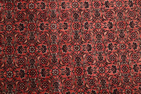 Bidjar — Bidjar exkl.W.S. — view 8 | RUGSOCIETE