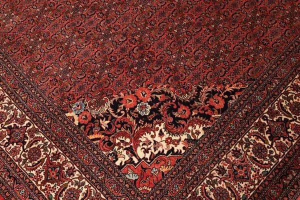 Bidjar — Bidjar exkl.W.S. — view 7 | RUGSOCIETE