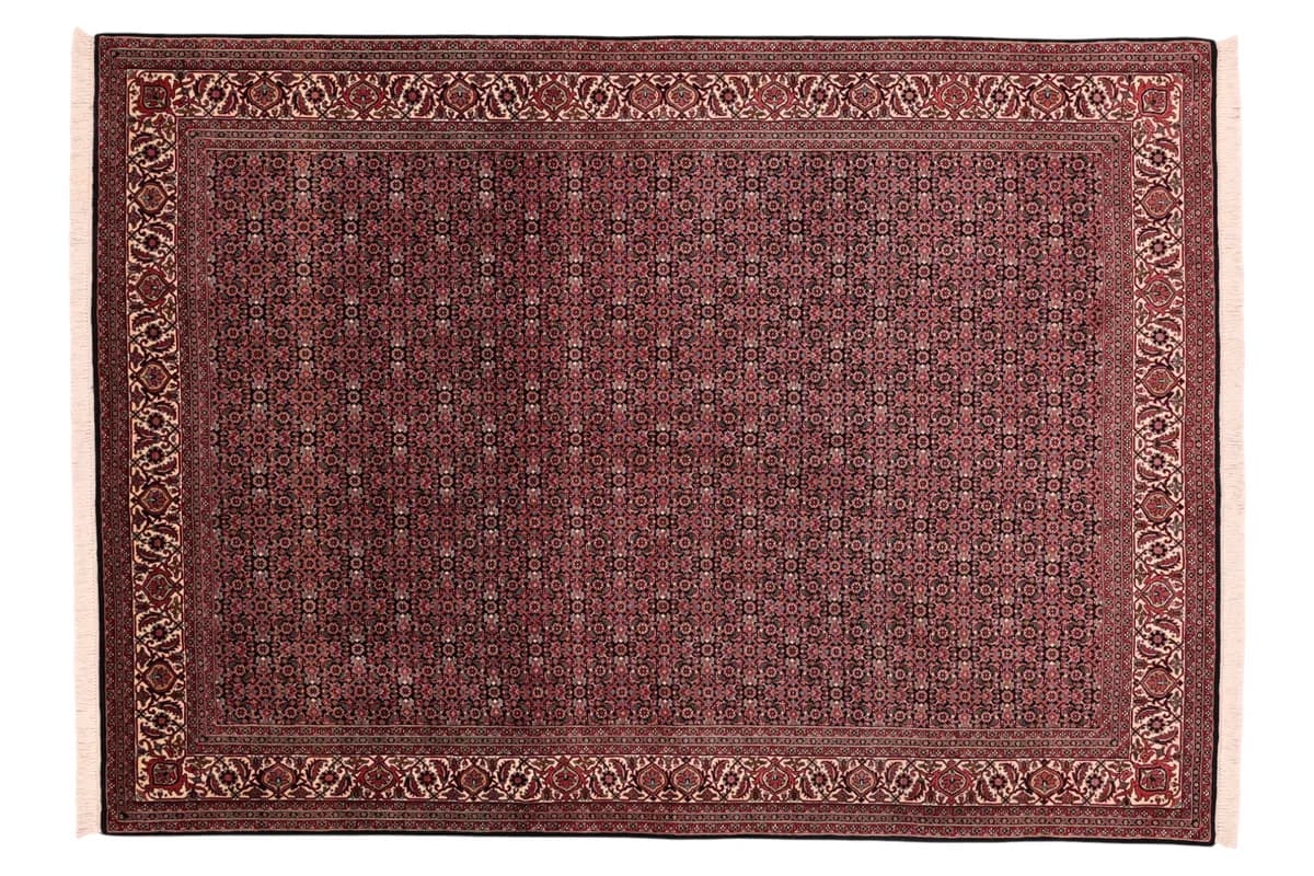 Bidjar — Bidjar exkl.W.S., 238 × 170 cm | RUGSOCIETE