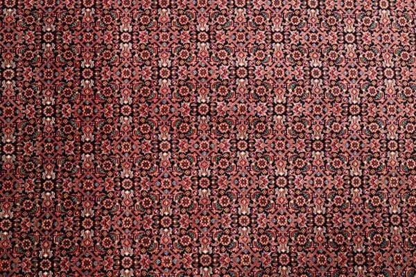 Bidjar — Bidjar exkl.W.S. — view 12 | RUGSOCIETE