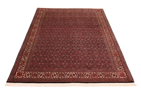 Bidjar — Bidjar exkl.W.S. — view 4 | RUGSOCIETE