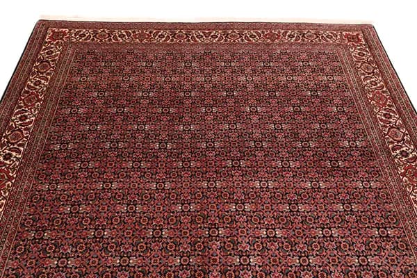 Bidjar — Bidjar exkl.W.S. — view 6 | RUGSOCIETE