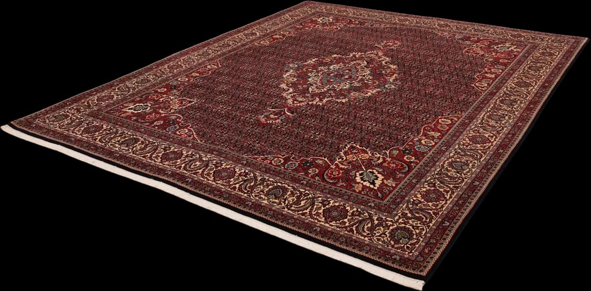 Bidjar — Bidjar exkl.W.S., 318 × 253 cm — detail | RUGSOCIETE