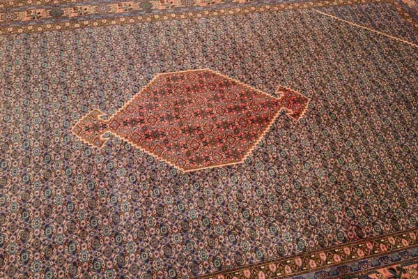 Azerbaijan rug — view 7, 302 × 191 cm | RUGSOCIETE
