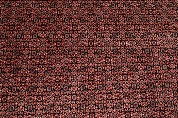 Bidjar — Bidjar exkl.W.S. — view 10 | RUGSOCIETE