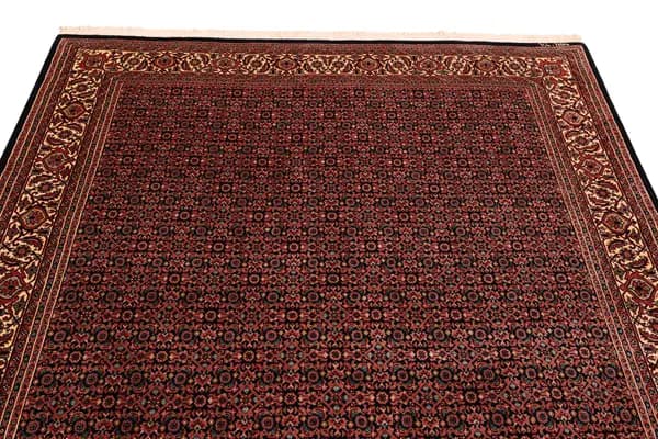 Bidjar — Bidjar exkl.W.S. — view 6 | RUGSOCIETE