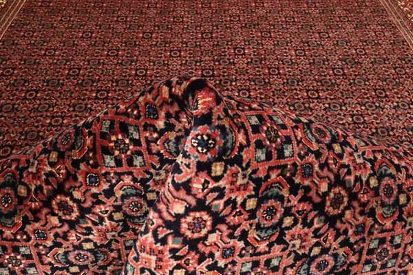 Bidjar — Bidjar exkl.W.S. — view 6 | RUGSOCIETE