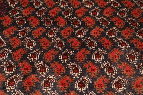 Belutsch — Belutsch — view 9 | RUGSOCIETE