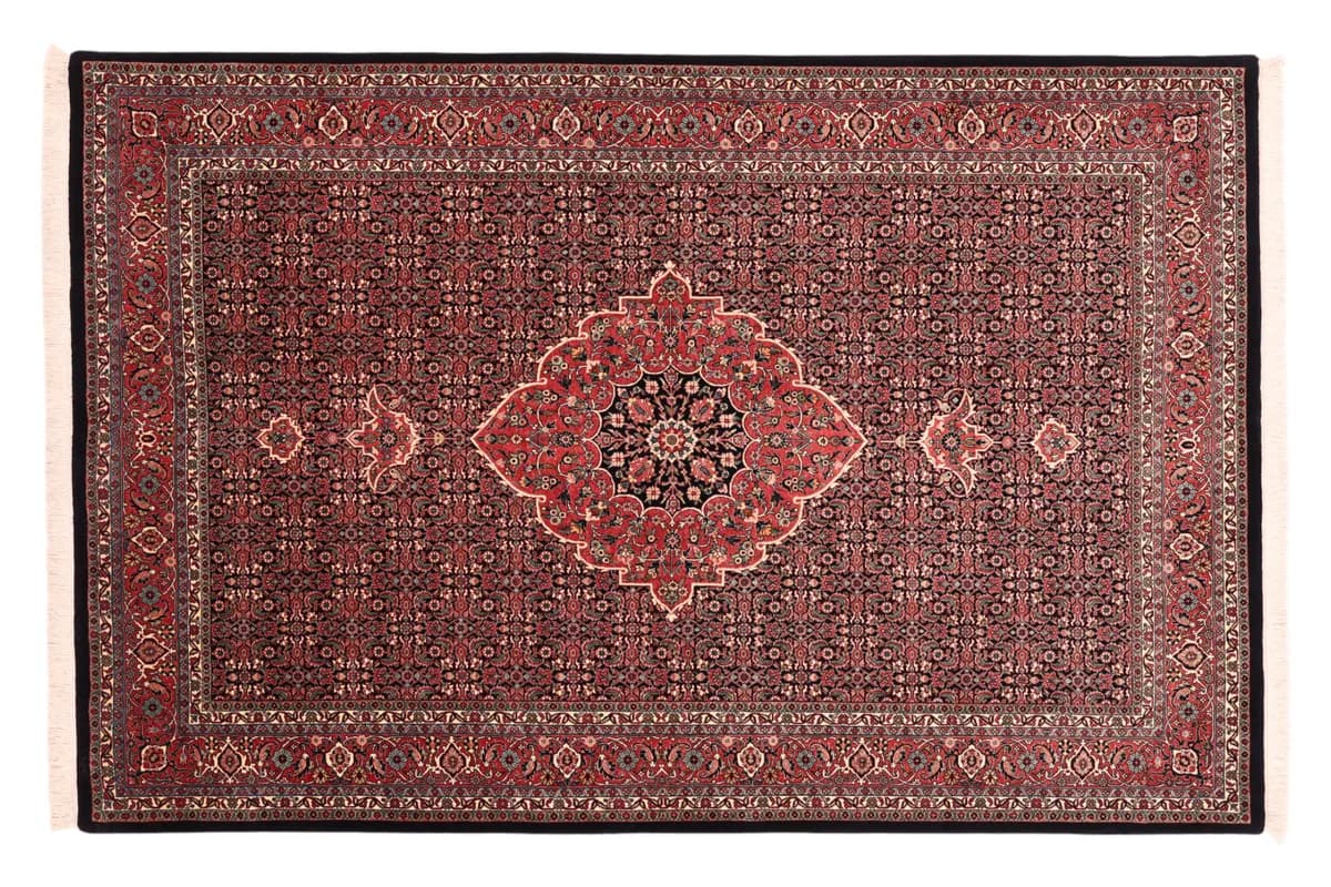 Bidjar — Bidjar exkl.W.S., 263 × 173 cm | RUGSOCIETE