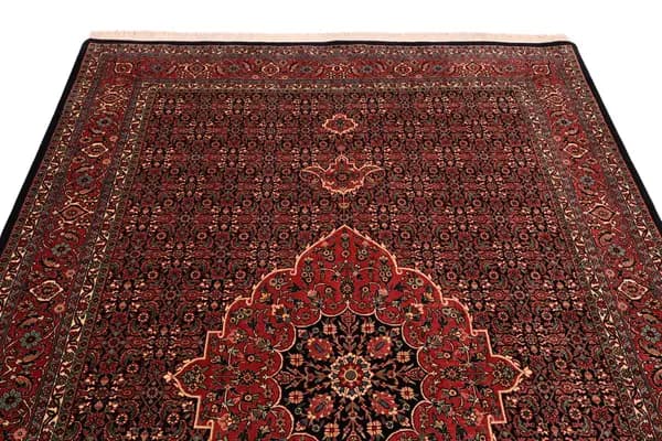 Bidjar — Bidjar exkl.W.S. — view 6 | RUGSOCIETE