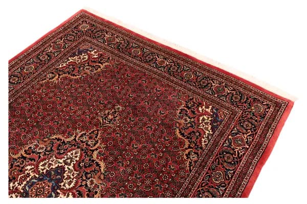 Bidjar — Bidjar exkl.W.S. — view 4 | RUGSOCIETE