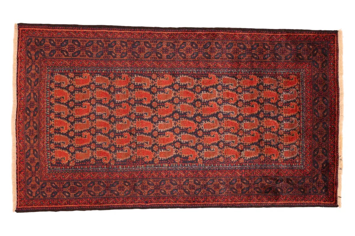 Belutsch — Belutsch, 175 × 96 cm | RUGSOCIETE