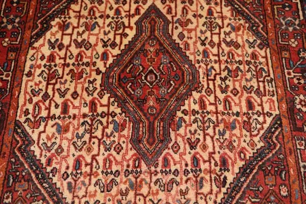 Hamadan — Malayer — view 14 | RUGSOCIETE