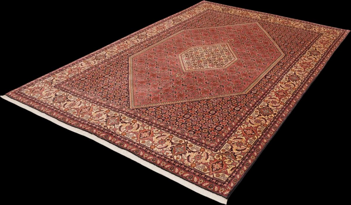 Bidjar — Bidjar, 307 × 196 cm — detail | RUGSOCIETE