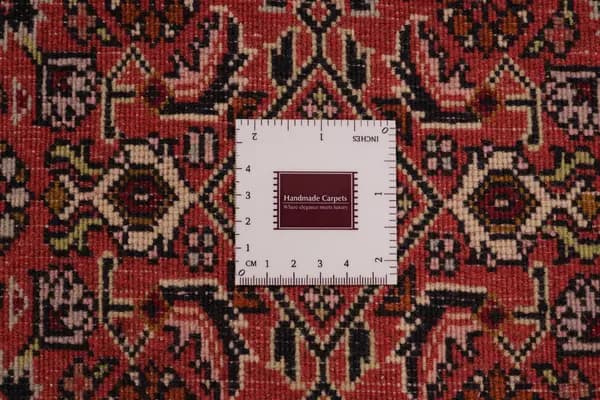 Bidjar — Bidjar — view 14 | RUGSOCIETE