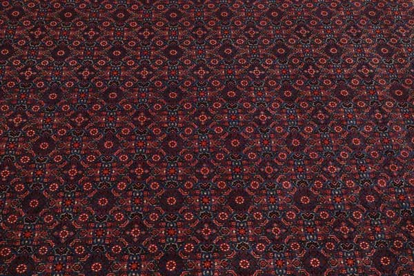 Bidjar — Bidjar exkl.W.S. — view 10 | RUGSOCIETE