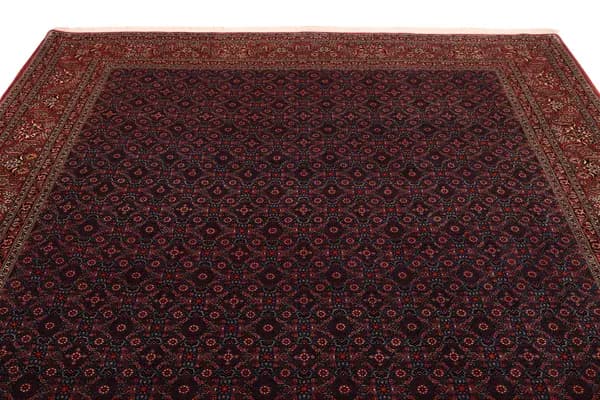 Bidjar — Bidjar exkl.W.S. — view 8 | RUGSOCIETE