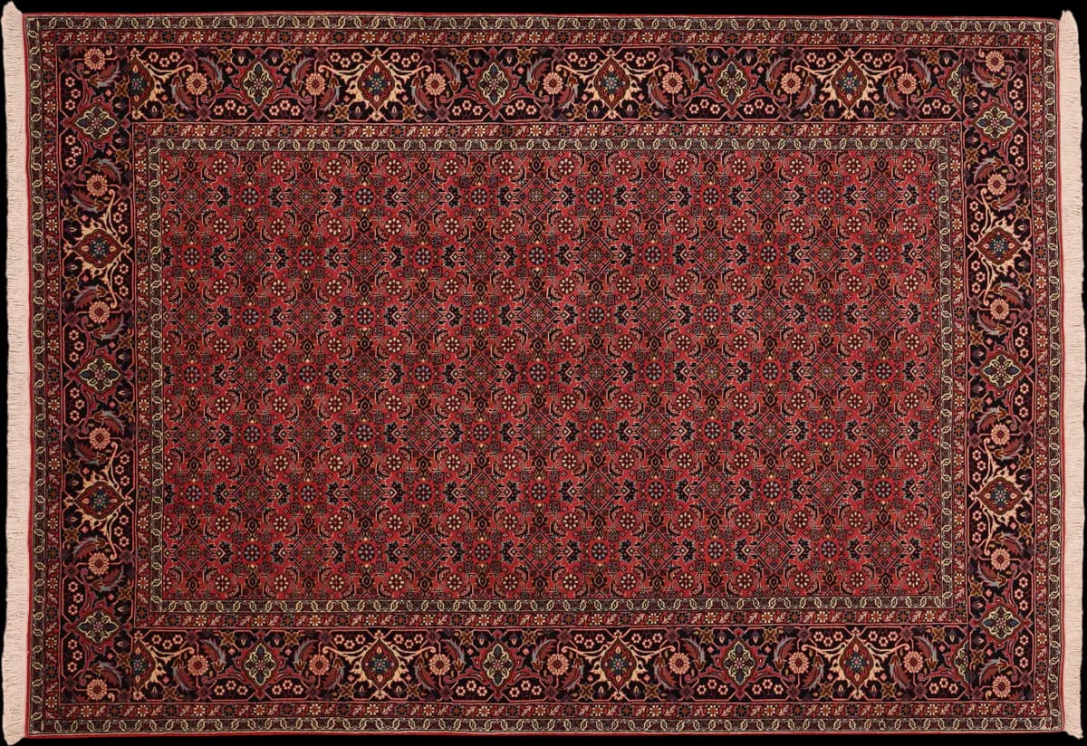 Bidjar — Bidjar, 250 × 175 cm | RUGSOCIETE