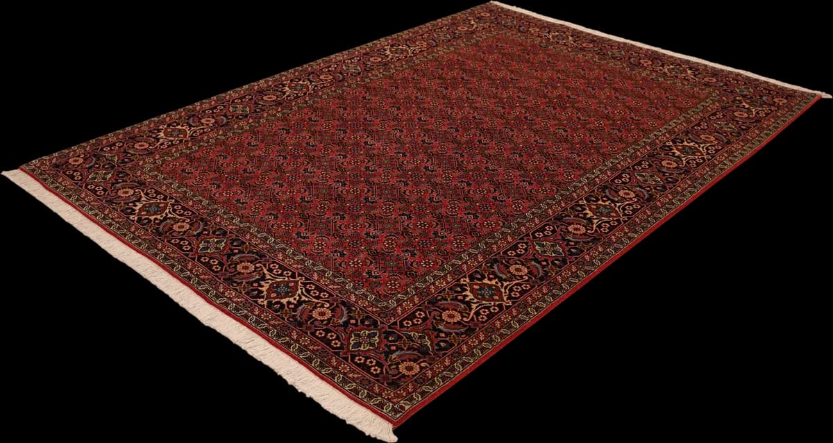 Bidjar — Bidjar, 250 × 175 cm — detail | RUGSOCIETE