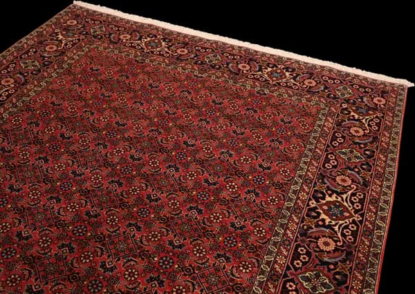 Bidjar — Bidjar — view 5 | RUGSOCIETE