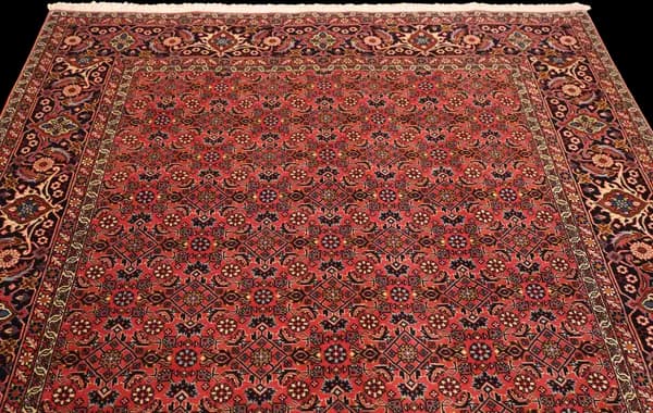 Bidjar — Bidjar — view 6 | RUGSOCIETE
