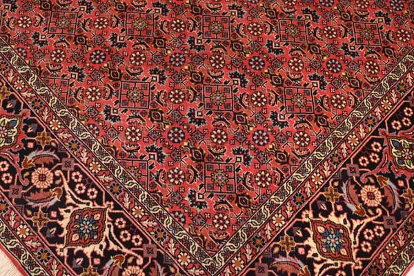 Bidjar — Bidjar — view 8 | RUGSOCIETE