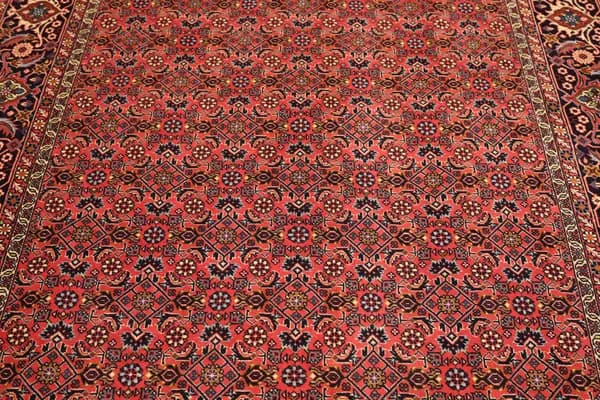 Bidjar — Bidjar — view 8 | RUGSOCIETE