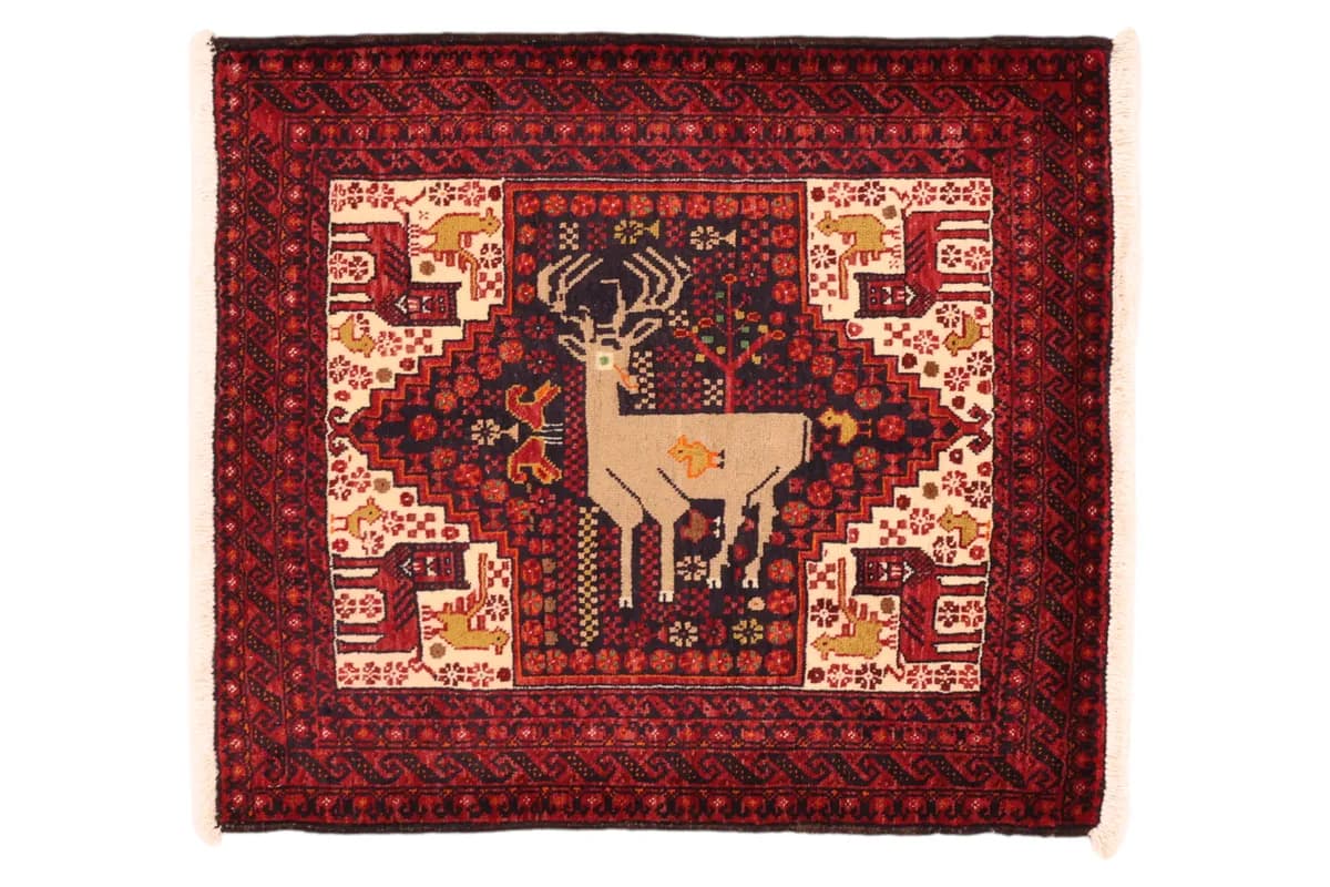 Belutsch — Belutsch, 85 × 74 cm | RUGSOCIETE