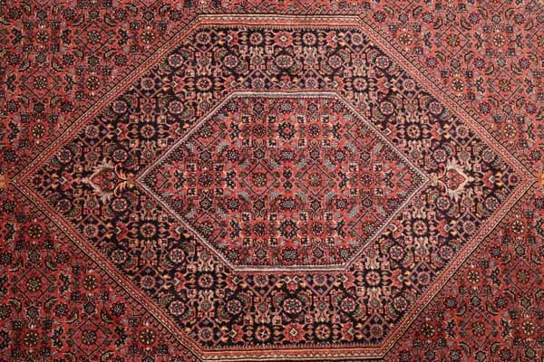 Bidjar — Bidjar exkl.W.S. — view 11 | RUGSOCIETE