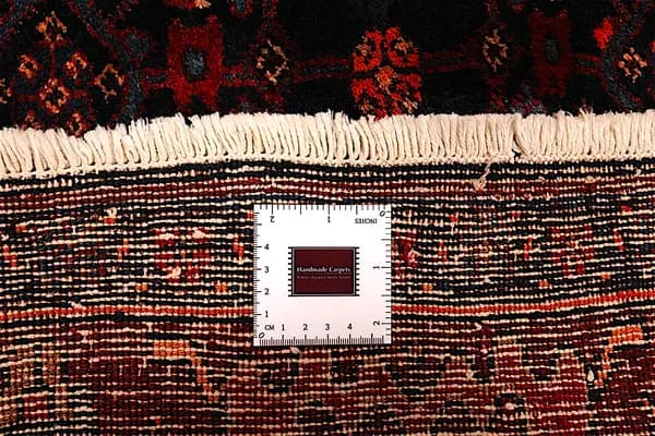 Bidjar — Garrous — view 11 | RUGSOCIETE