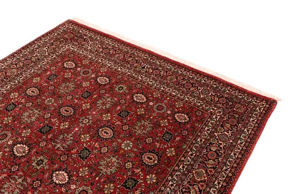 Bidjar — Bidjar exkl.W.S. — view 7 | RUGSOCIETE