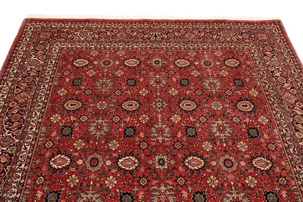 Bidjar — Bidjar exkl.W.S. — view 8 | RUGSOCIETE