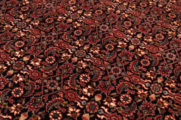 Bidjar — Bidjar — view 12 | RUGSOCIETE