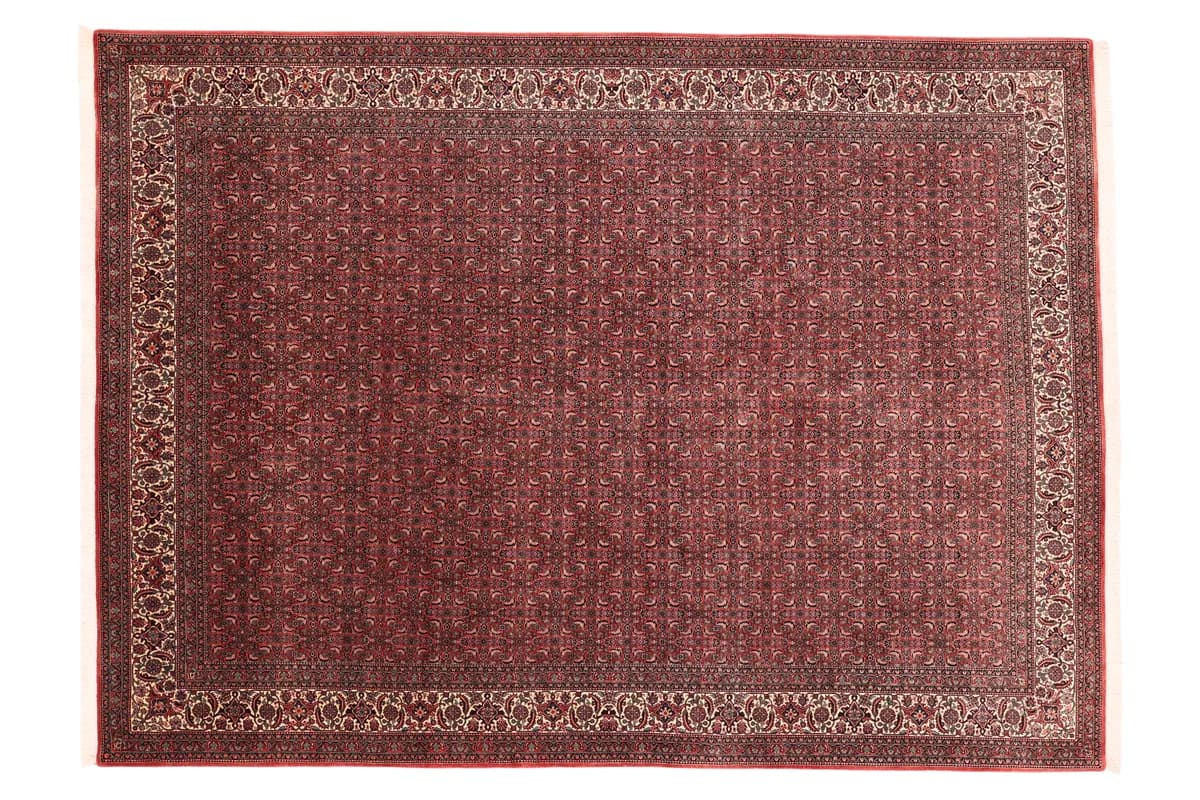 Bidjar — Bidjar exkl.W.S., 350 × 256 cm | RUGSOCIETE