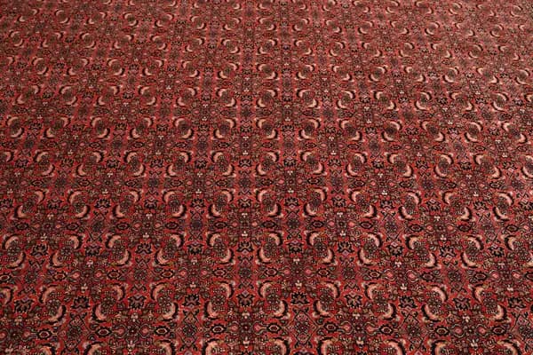 Bidjar — Bidjar exkl.W.S. — view 9 | RUGSOCIETE