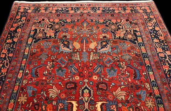 Bidjar Teppich 7950 — Garrous — view 5 | RUGSOCIETE