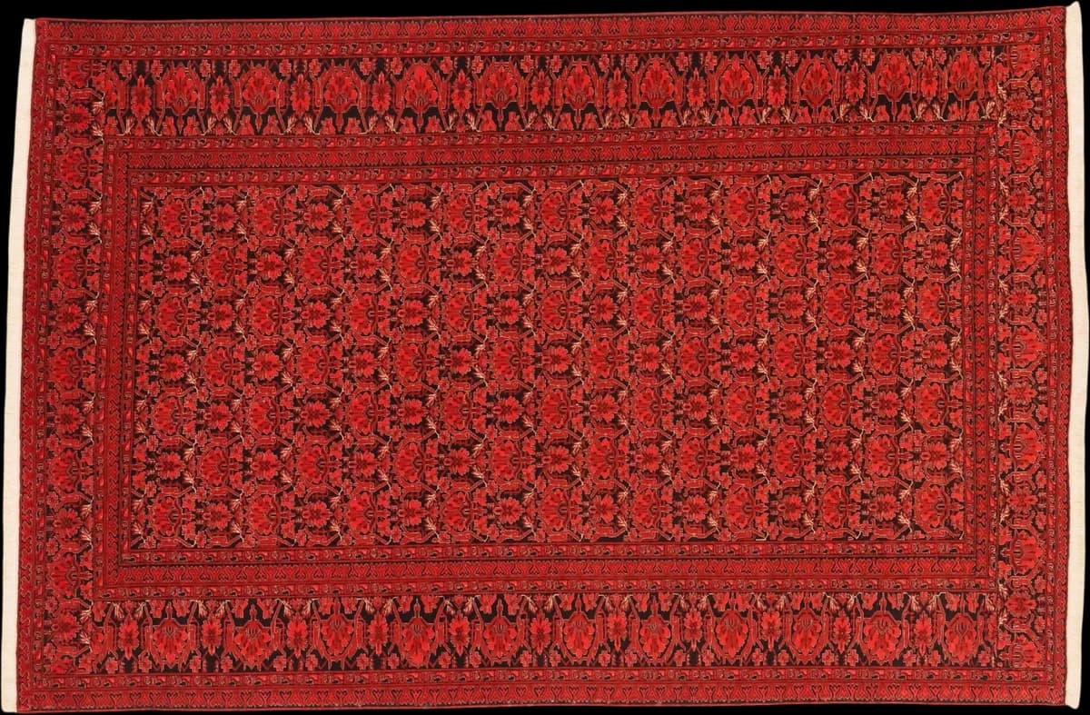 Kordi — Belutsch, 297 × 195 cm | RUGSOCIETE