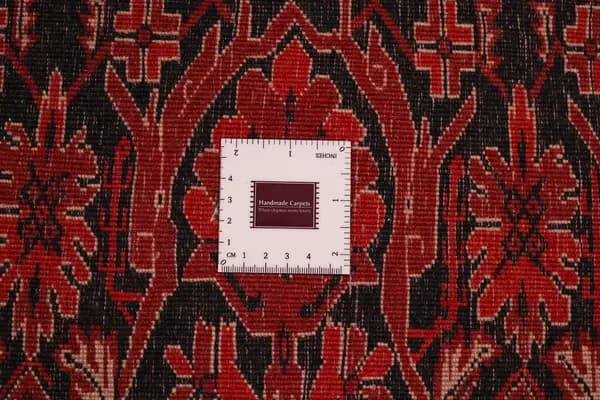 Kordi — Belutsch — view 14 | RUGSOCIETE