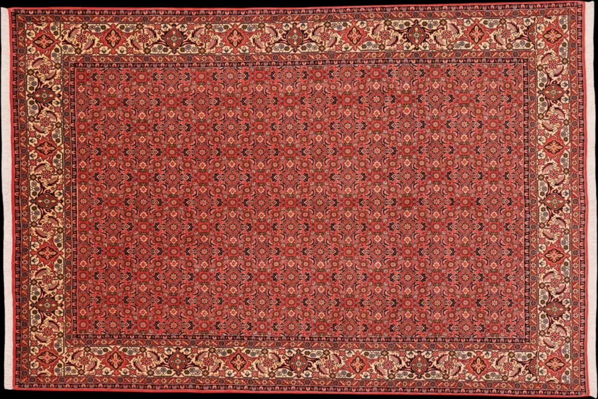 Bidjar — Bidjar, 288 × 194 cm | RUGSOCIETE