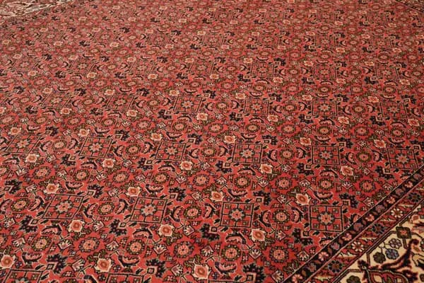 Bidjar — Bidjar — view 7 | RUGSOCIETE