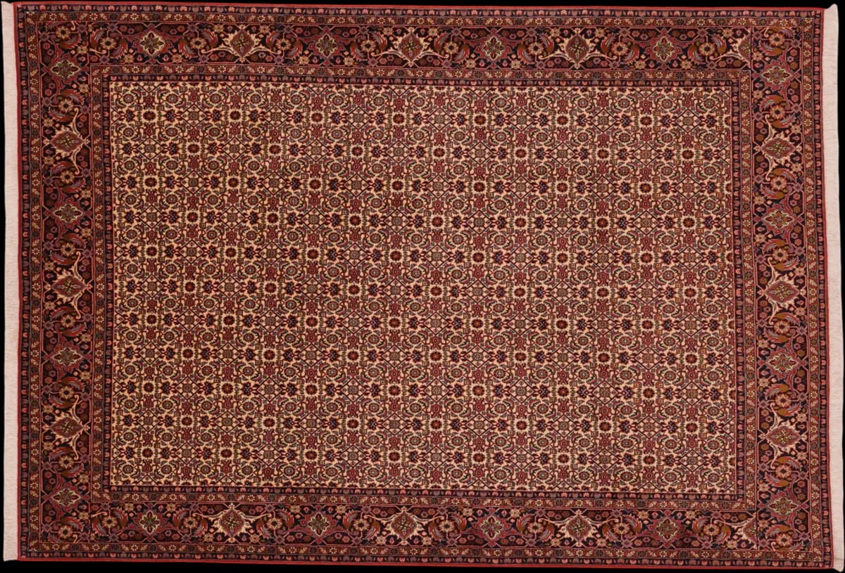 Bidjar — Bidjar, 296 × 205 cm | RUGSOCIETE