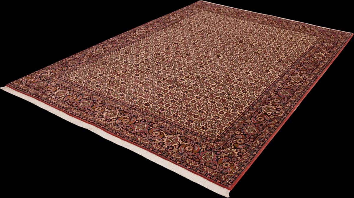 Bidjar — Bidjar, 296 × 205 cm — detail | RUGSOCIETE