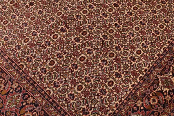 Bidjar — Bidjar — view 8 | RUGSOCIETE