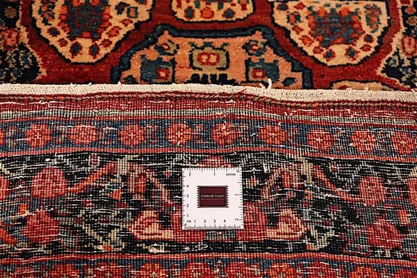 Bidjar — Garrous — view 12 | RUGSOCIETE
