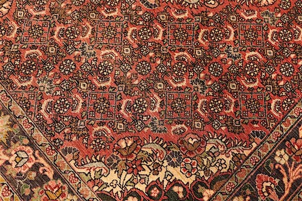 Bidjar — Bidjar — view 9 | RUGSOCIETE